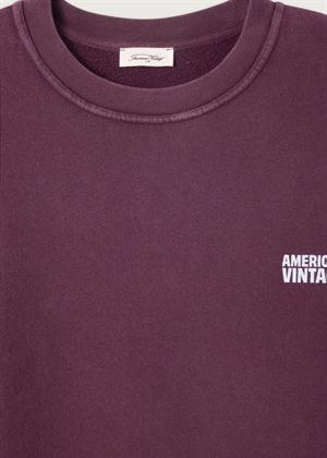 Plizzy oversize sweatshirt Mahogany American Vintage 